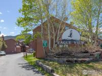 More Details about MLS # 1025527 : 1050 S SAINT VRAIN AVE E-2 ESTES PARK CO 80517